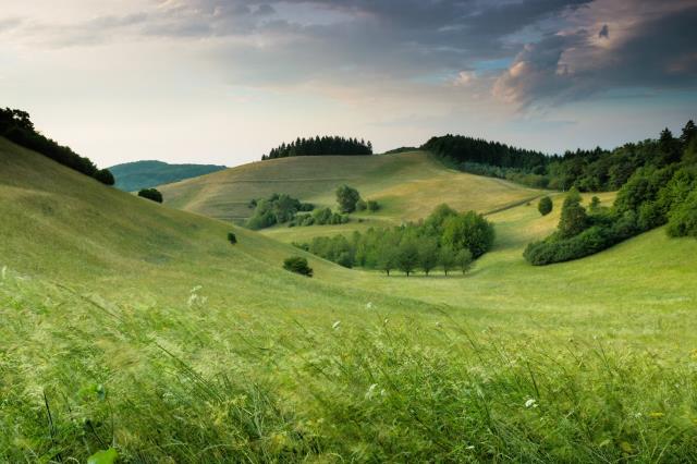 poslki-psycholog-uk-katarzyna-perzanowskaPsycholog-online-w-UK (1)